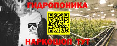 сатива Пенза