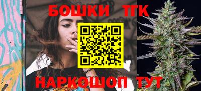 мдпв Партизанск