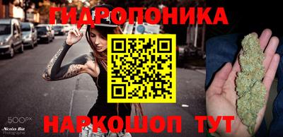 мдпв Партизанск