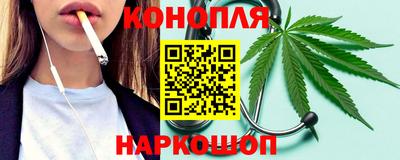 мдпв Партизанск