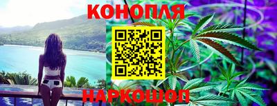 сатива Пенза