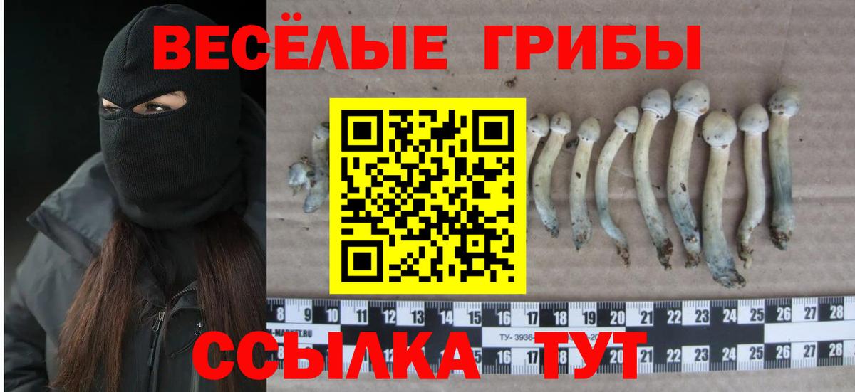 Галлюциногенные грибы Magic Shrooms Новотроицк